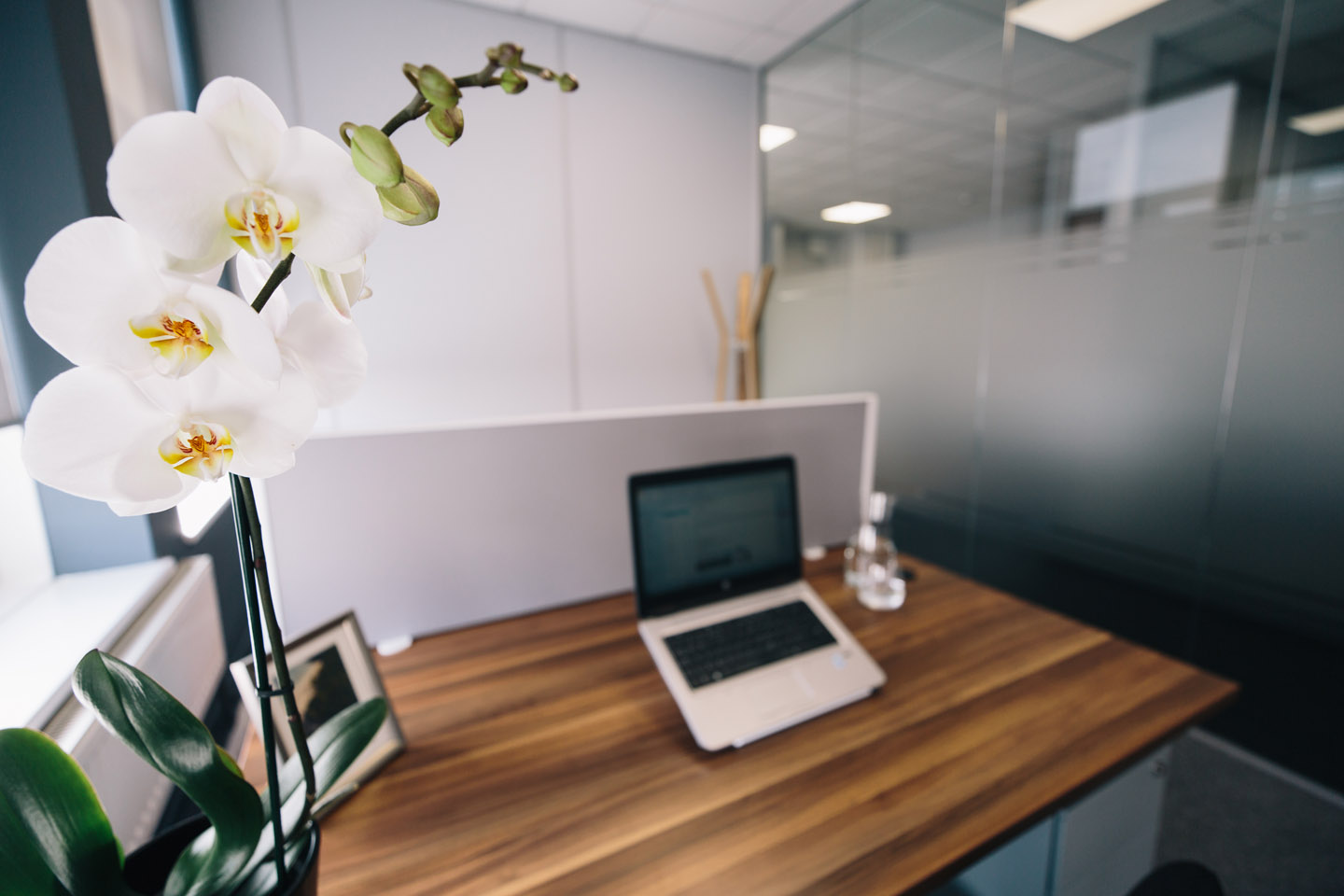 Hub26 Office Space