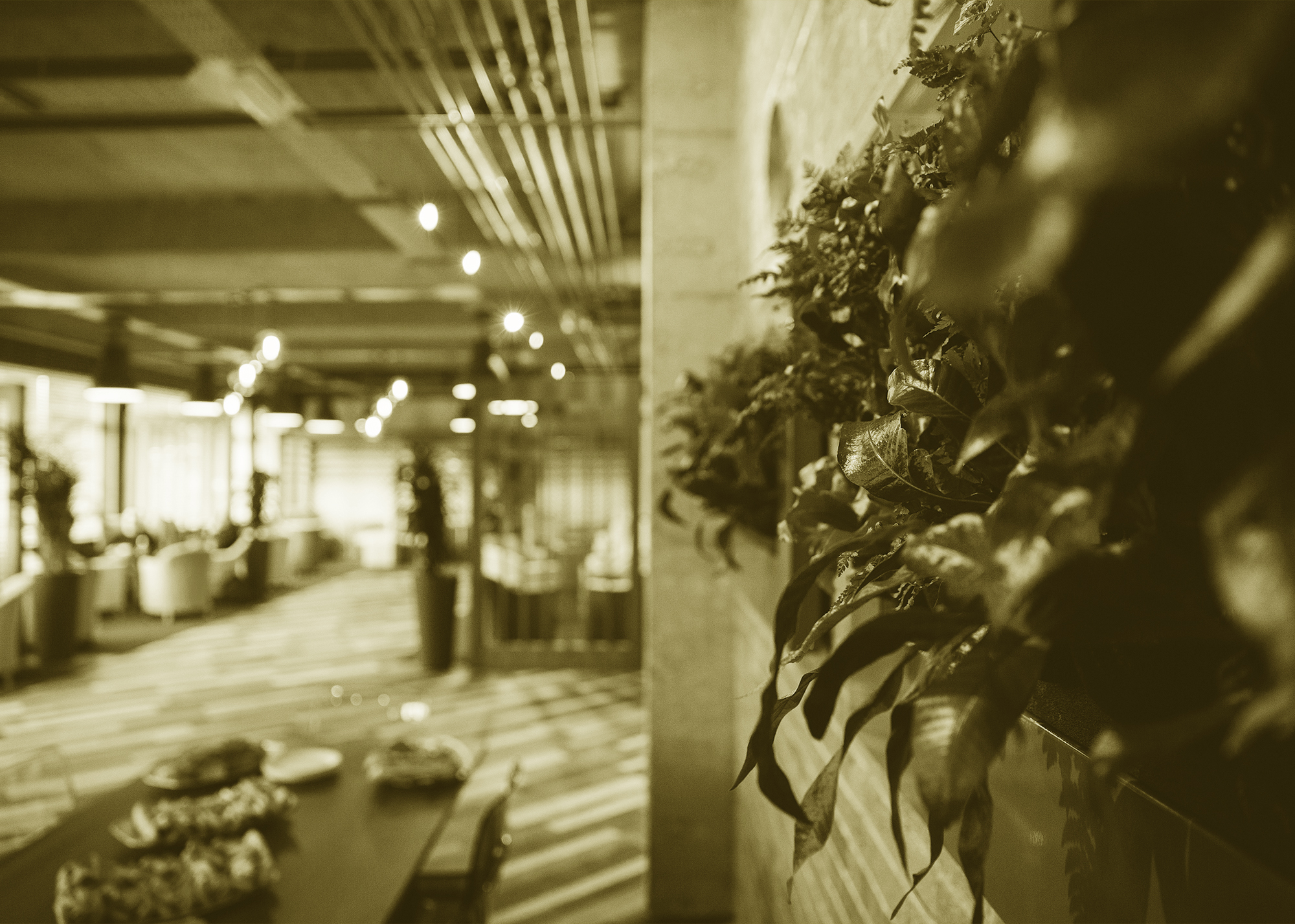 hub26 meet - club26 memberships gold